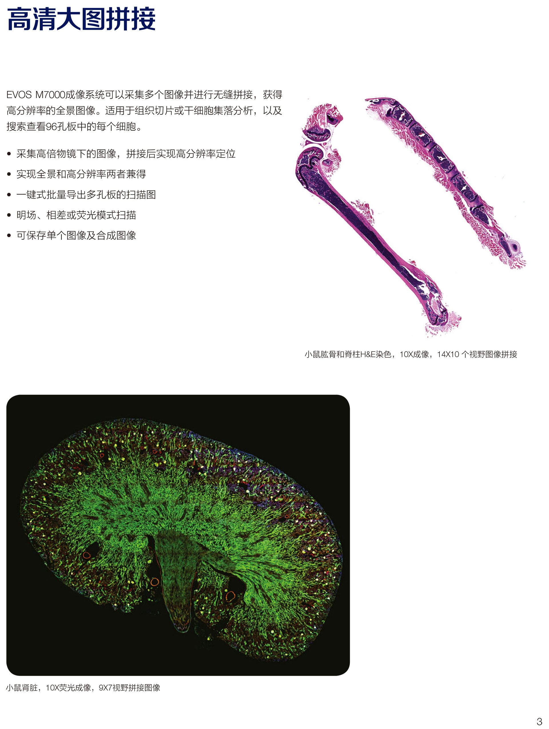 EVOS-M7000-應(yīng)用彩頁-5.jpg